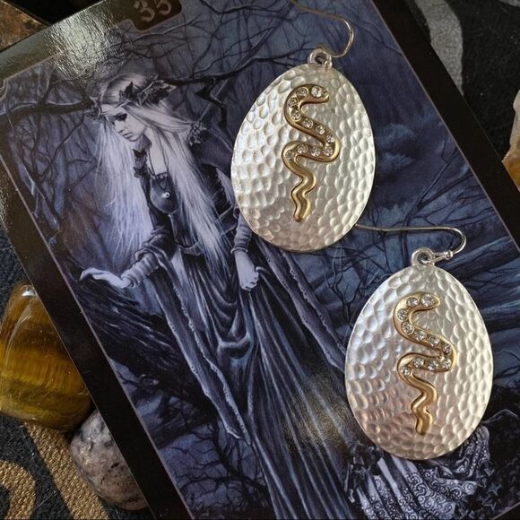 Two-Tone Brushed Silver And Gold Crystal Snake Earrings - Picture 5 of 7